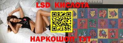 твердый Бийск