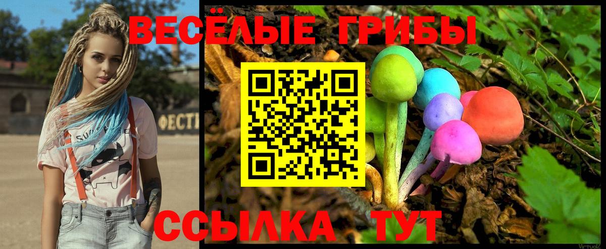 Псилоцибиновые грибы MAGIC MUSHROOMS Борисоглебск